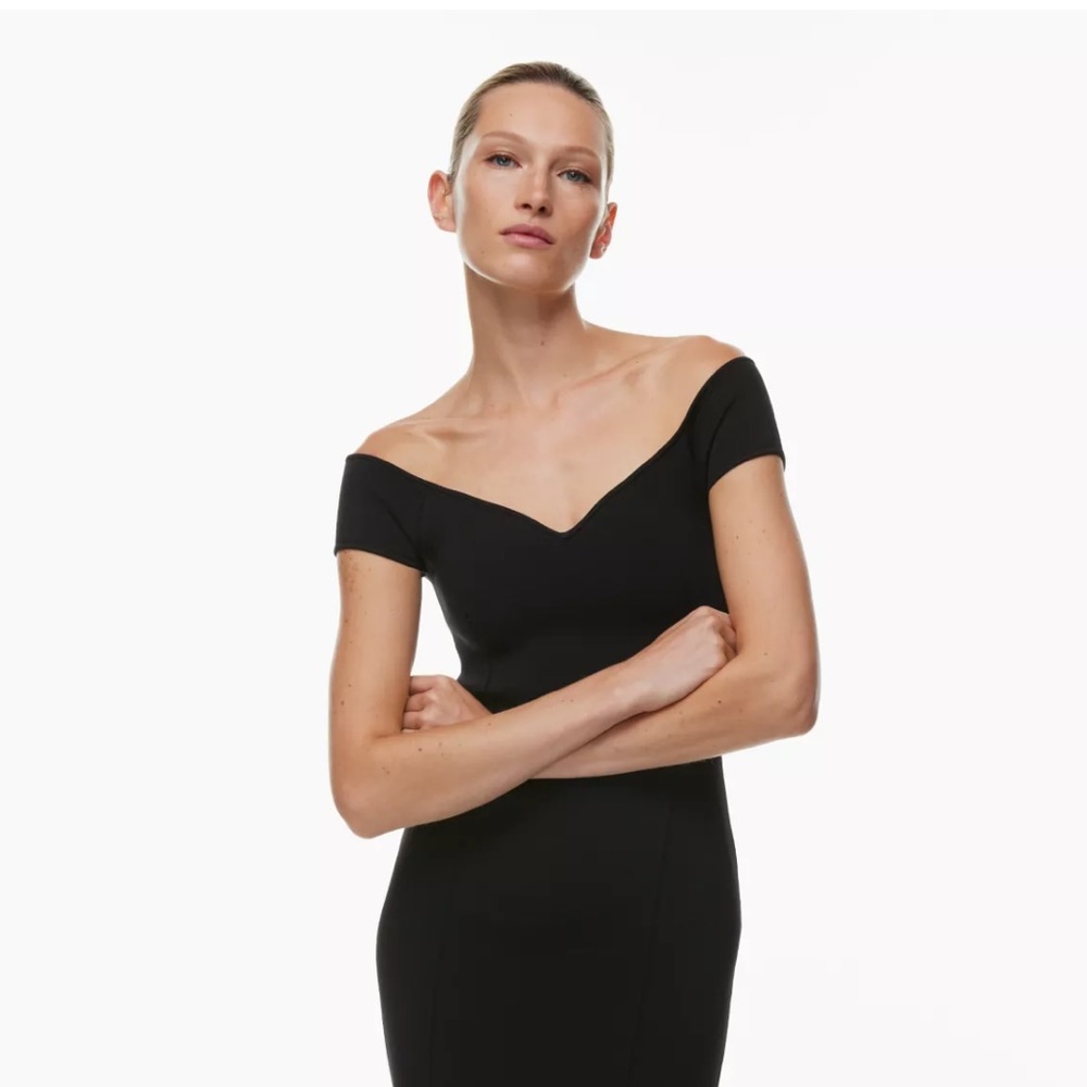 Aritzia Babaton Dress - Picture 2 of 6